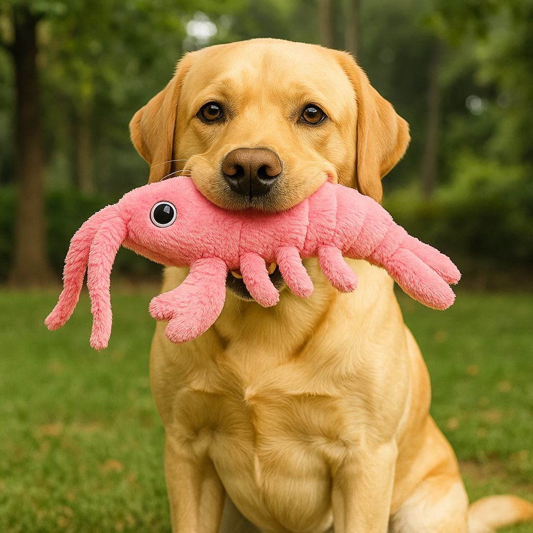 Interactive Jumping & Moving Pet Toy for Dogs & Cats